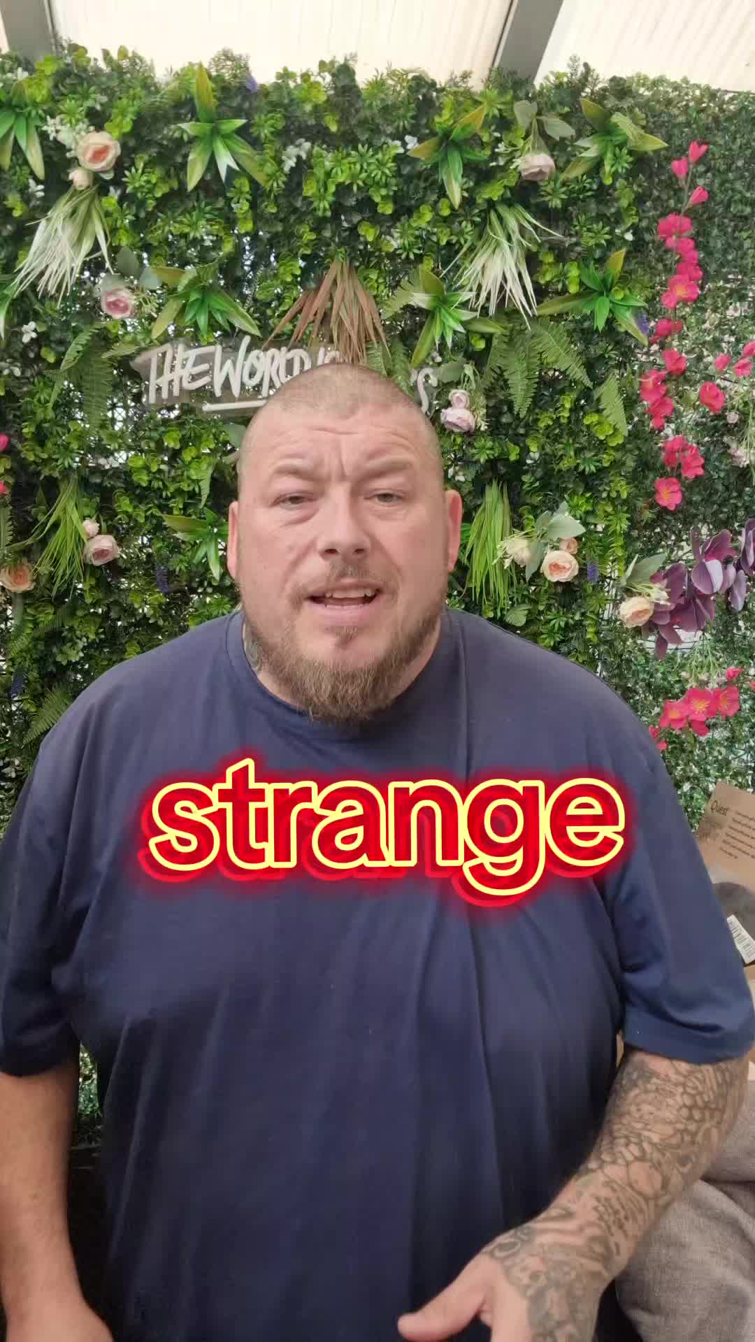 @𝐒𝐄𝐃𝐆𝐘