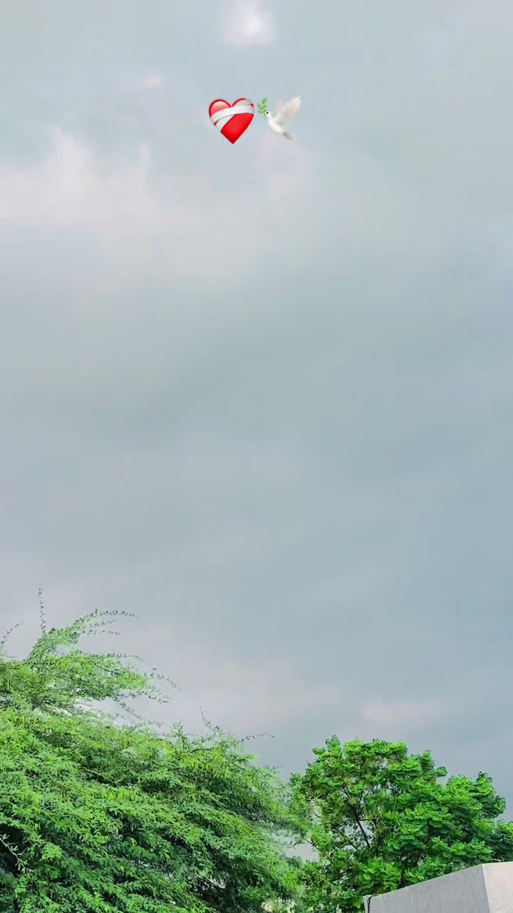 @بٹ جی07🚩