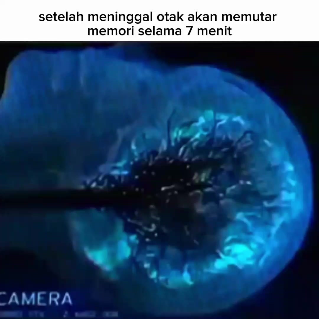 @𝙈𝙚𝙣𝙣𝙣