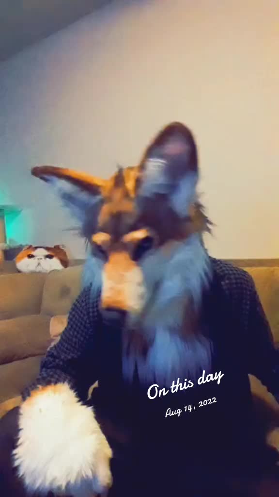 @SaltyFox
