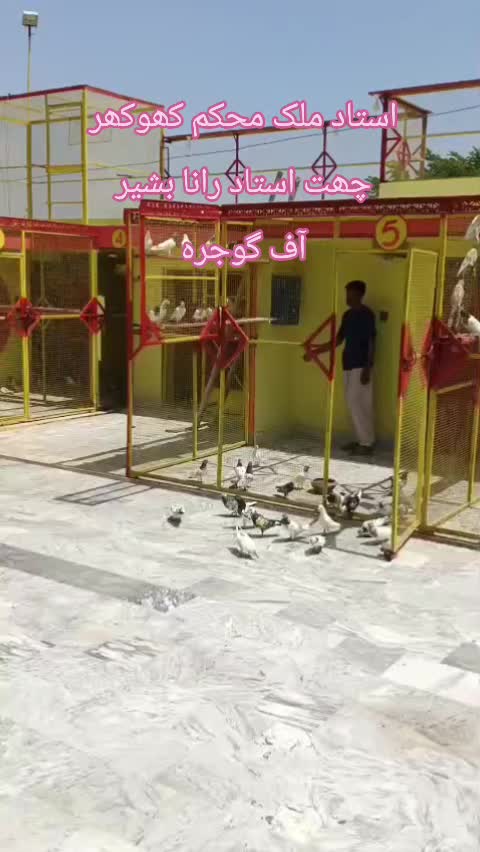 @Malik Mohkam khokhar