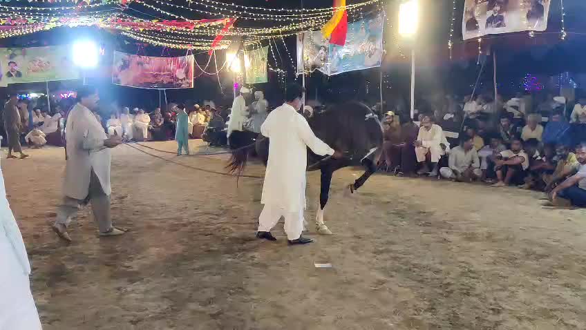 @horse dance #world