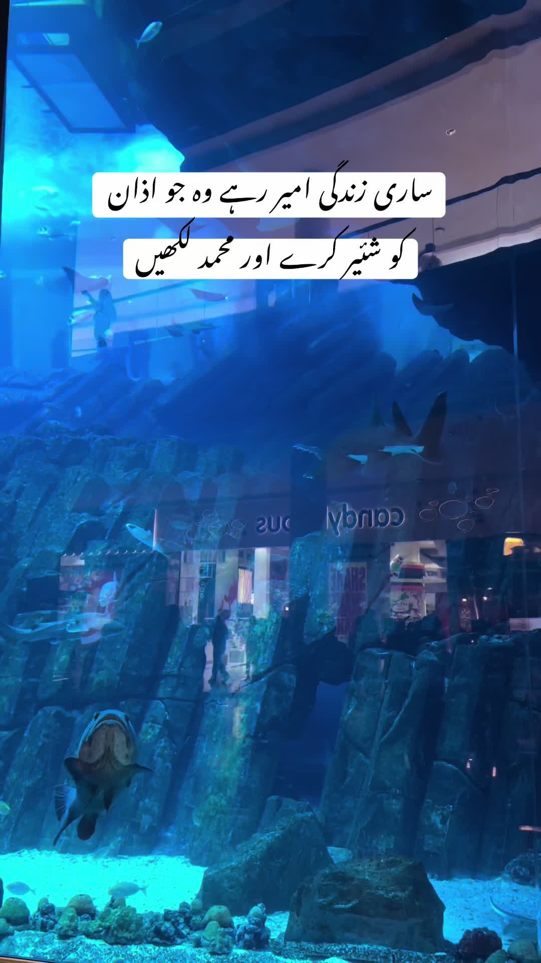 @🤲 Islamic content 🤲