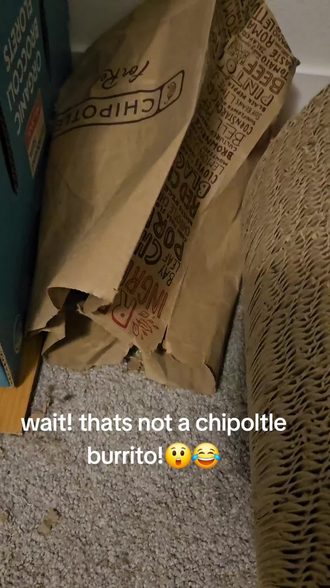 @dustinmatthews751