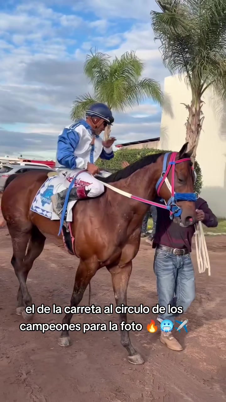 @carriles altos de jalisco🐎