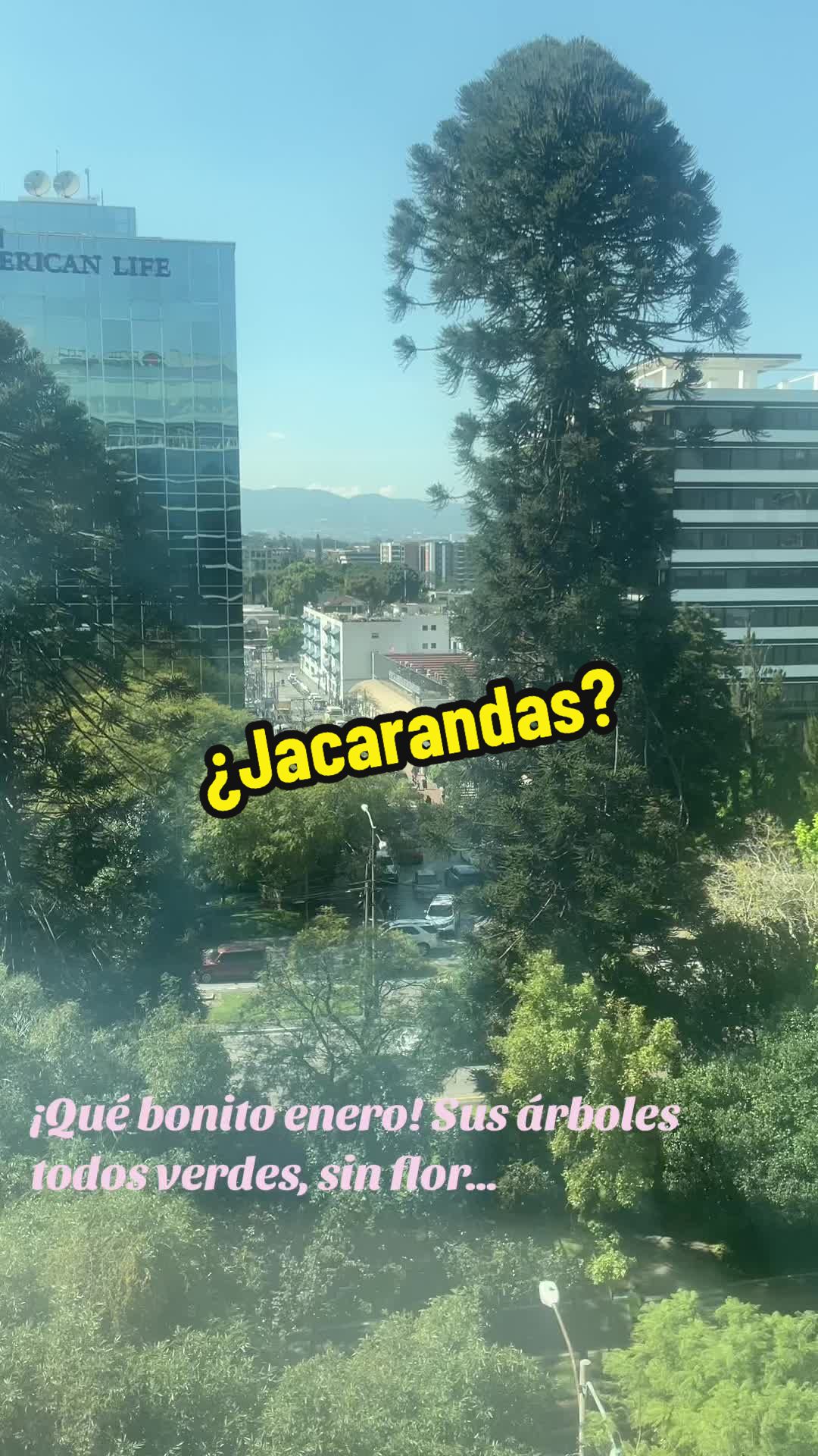 @Ariel Villaseñor