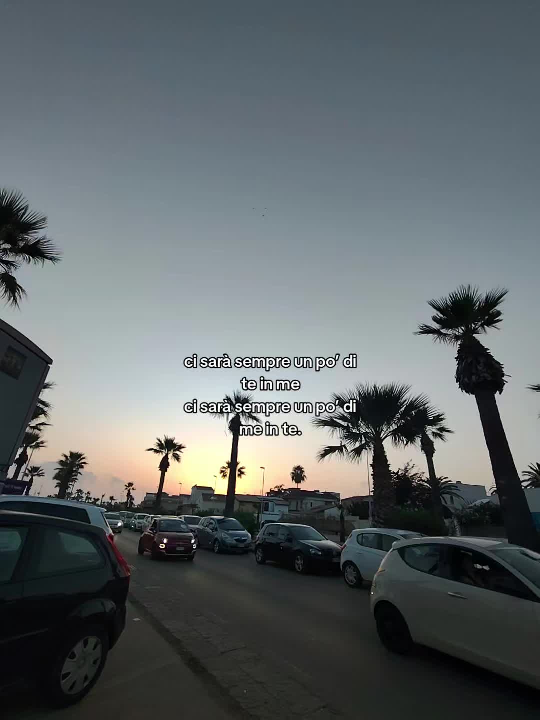 @chiaxx_pp