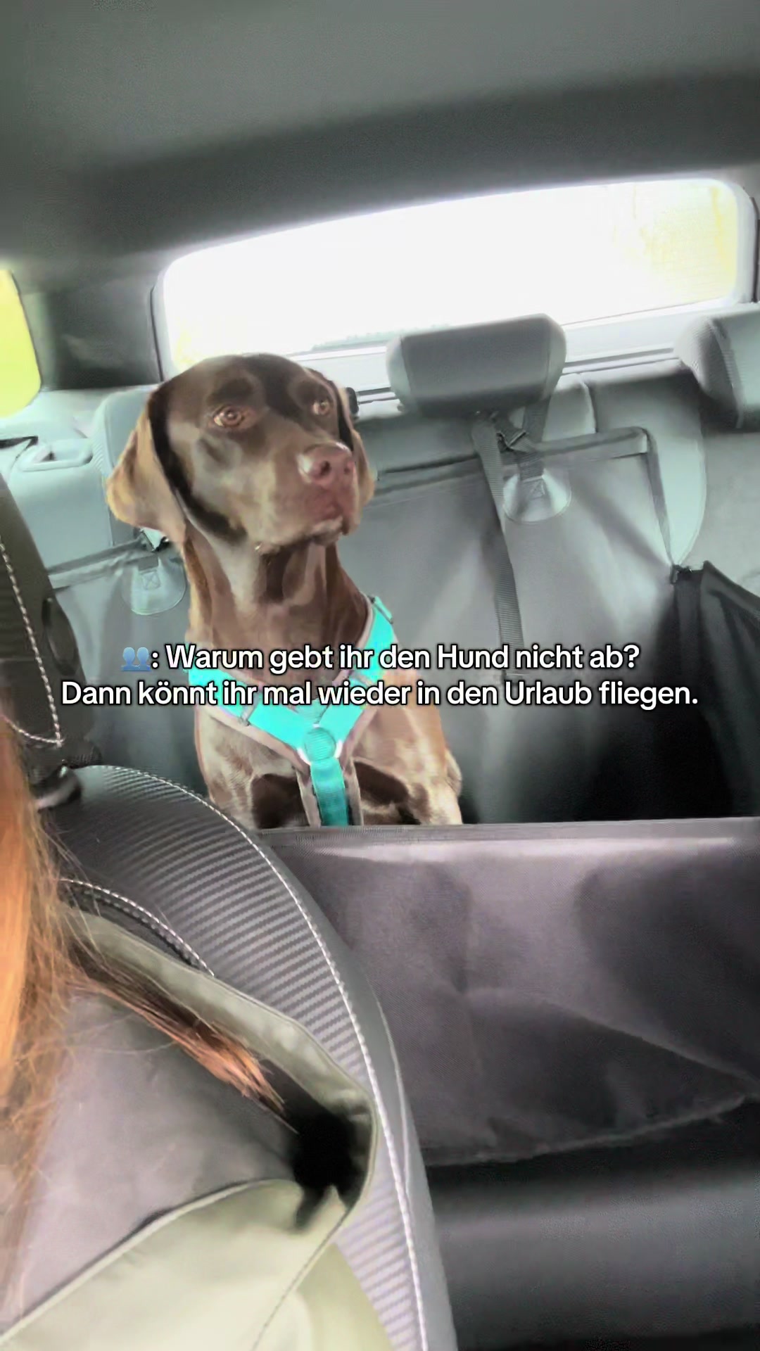 @Nala und Anna