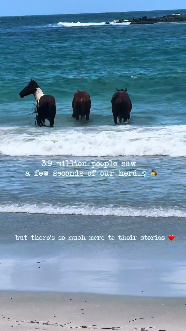 @roots_riding_stables