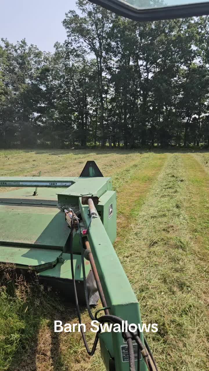 @Contraban Farms