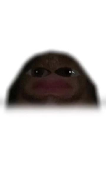 @Noah