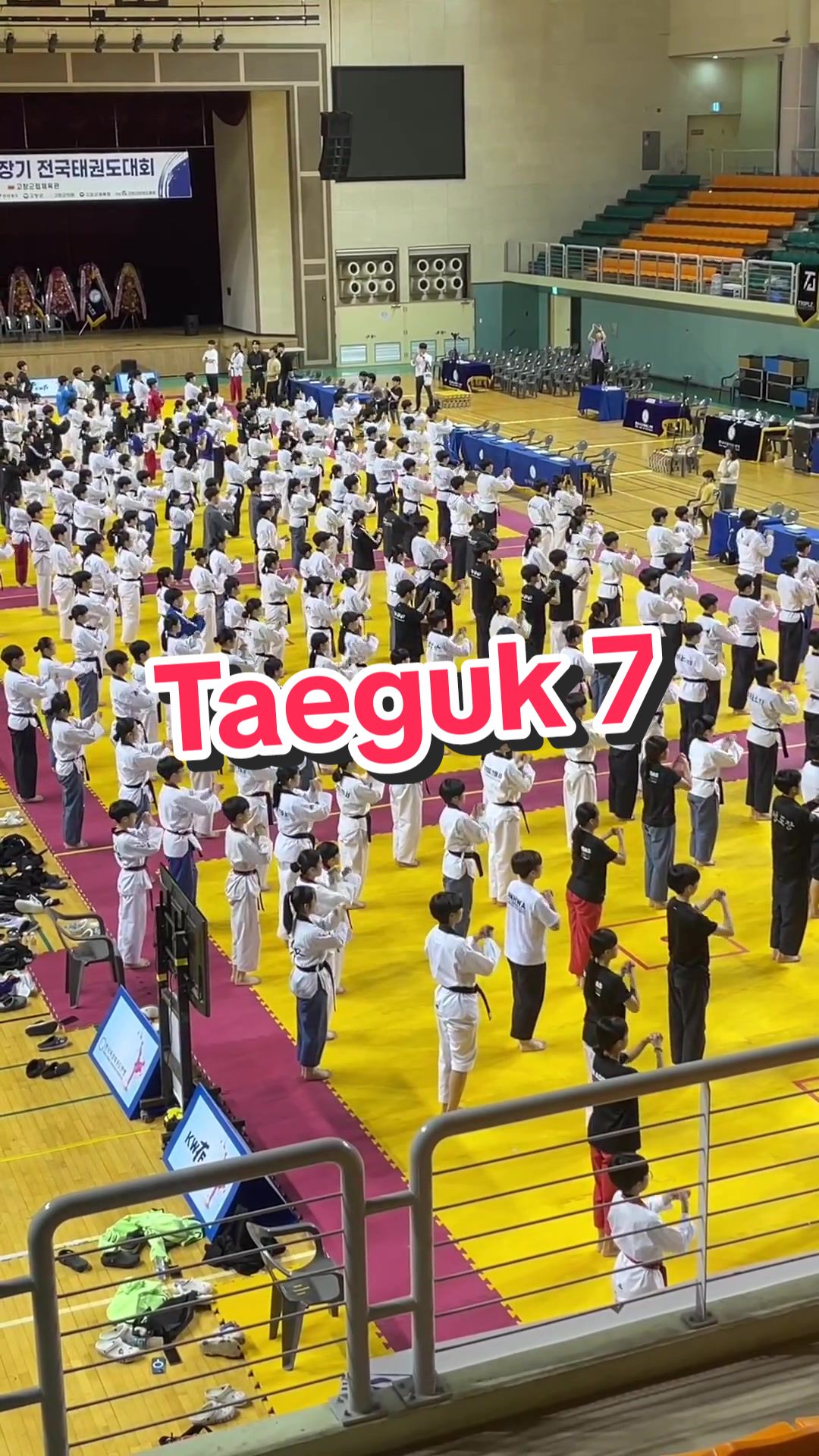 @Taekwondo Content Creator