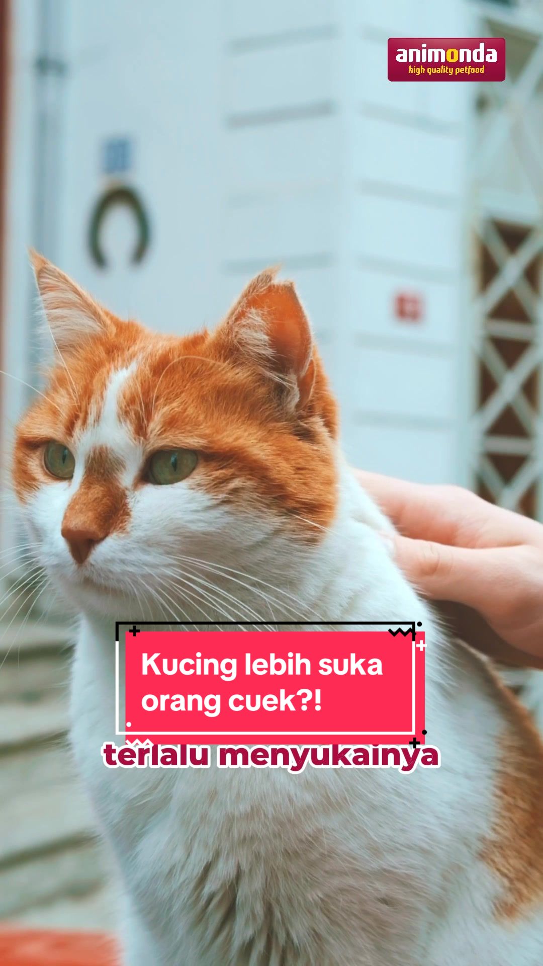 @Animonda Indonesia