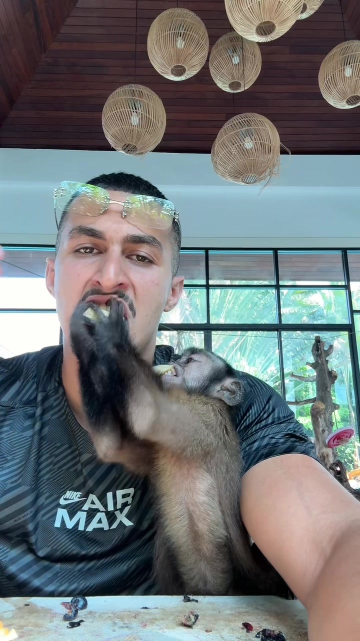 @Tarzane 🦍