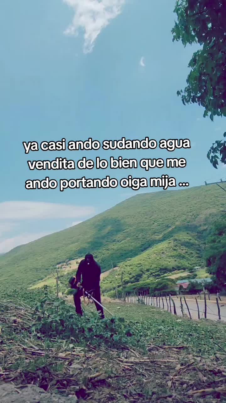 @Pedro salvador