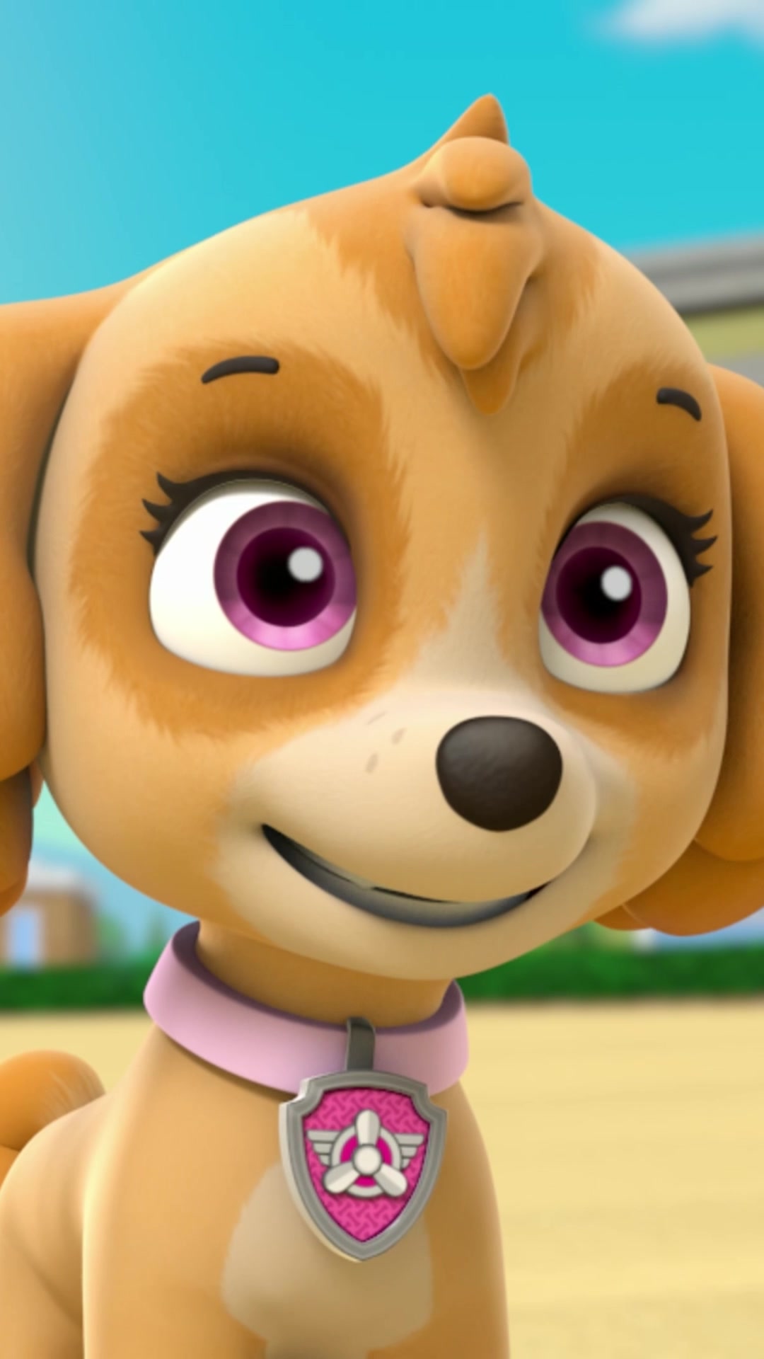 @pawpatrol