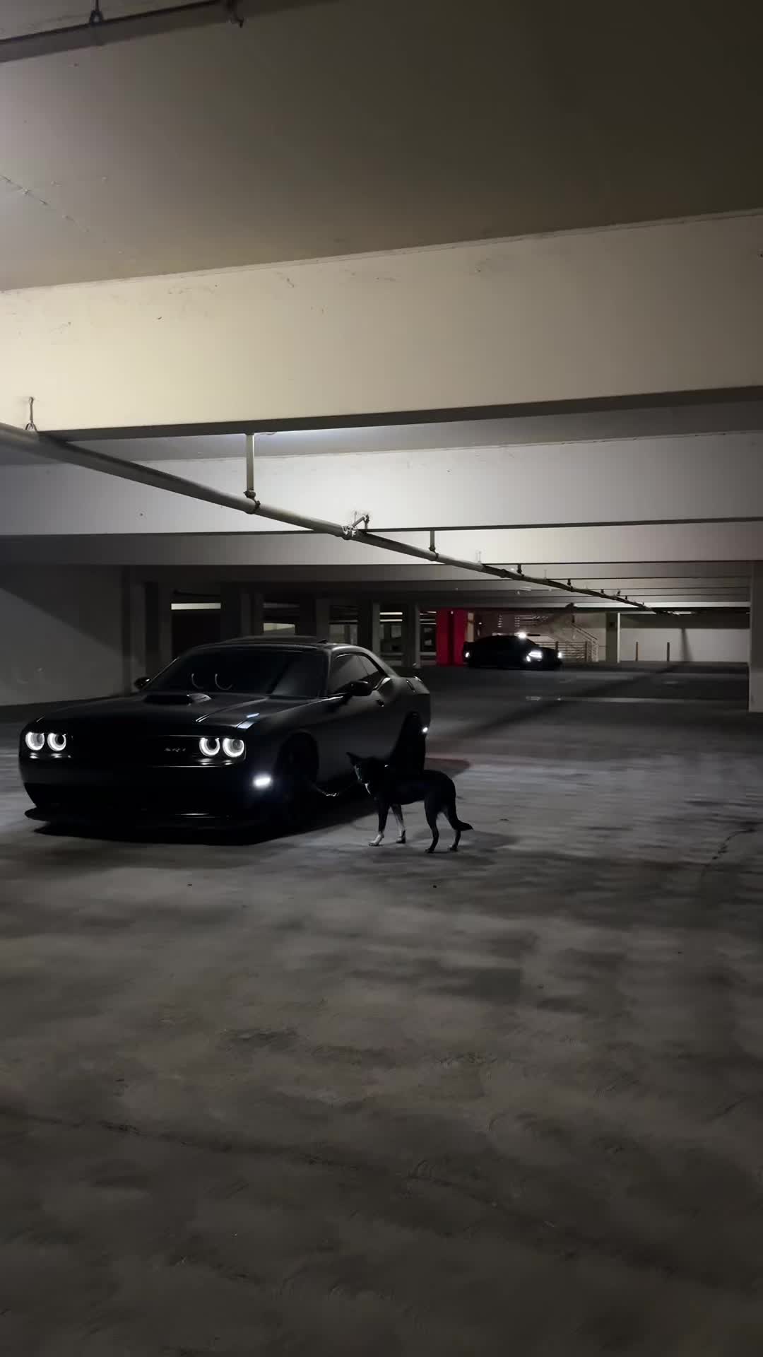 @Srtcam