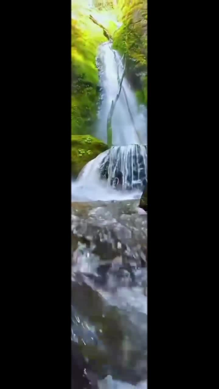 @ام عبوده