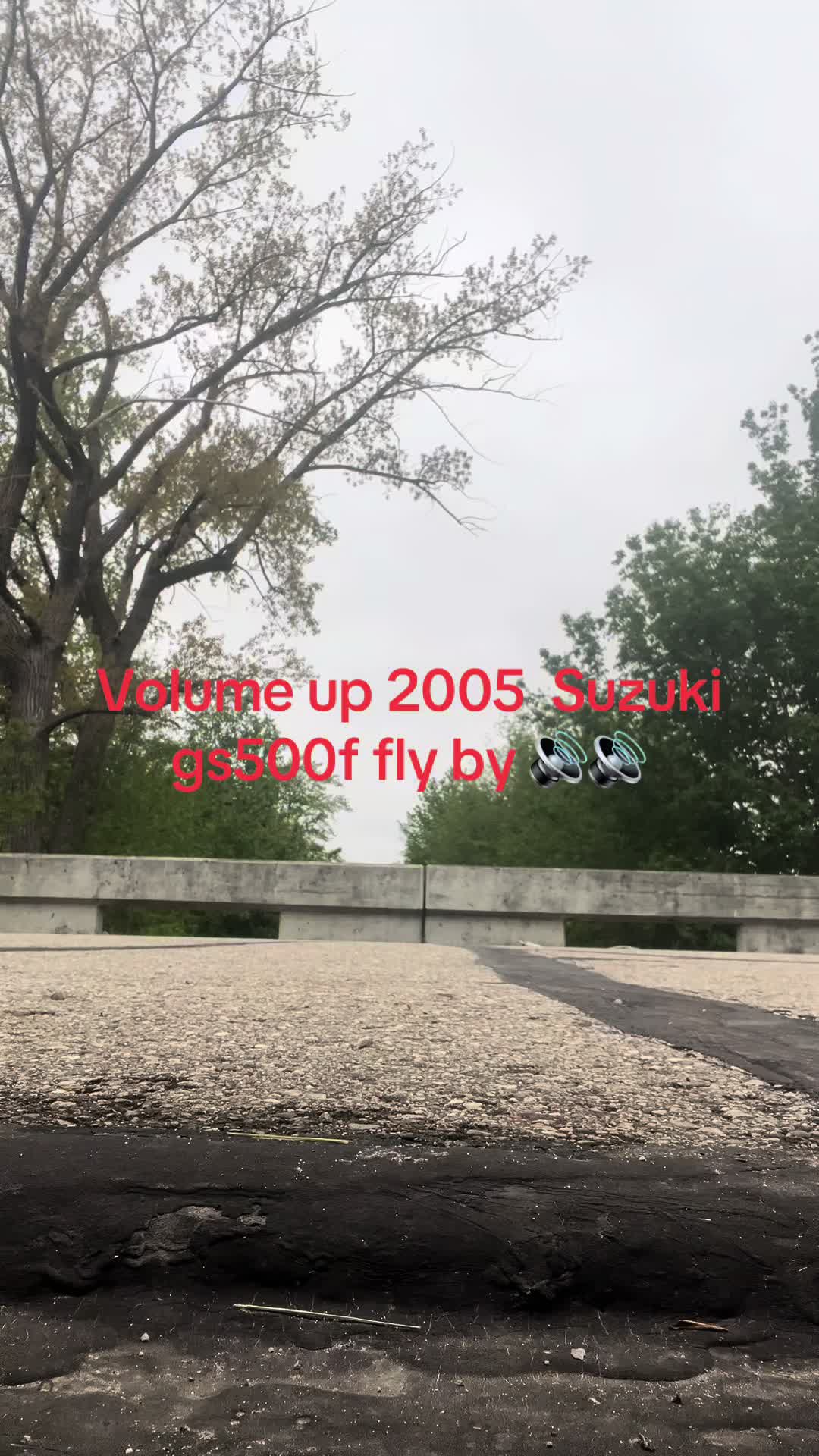 @dirtbike 300