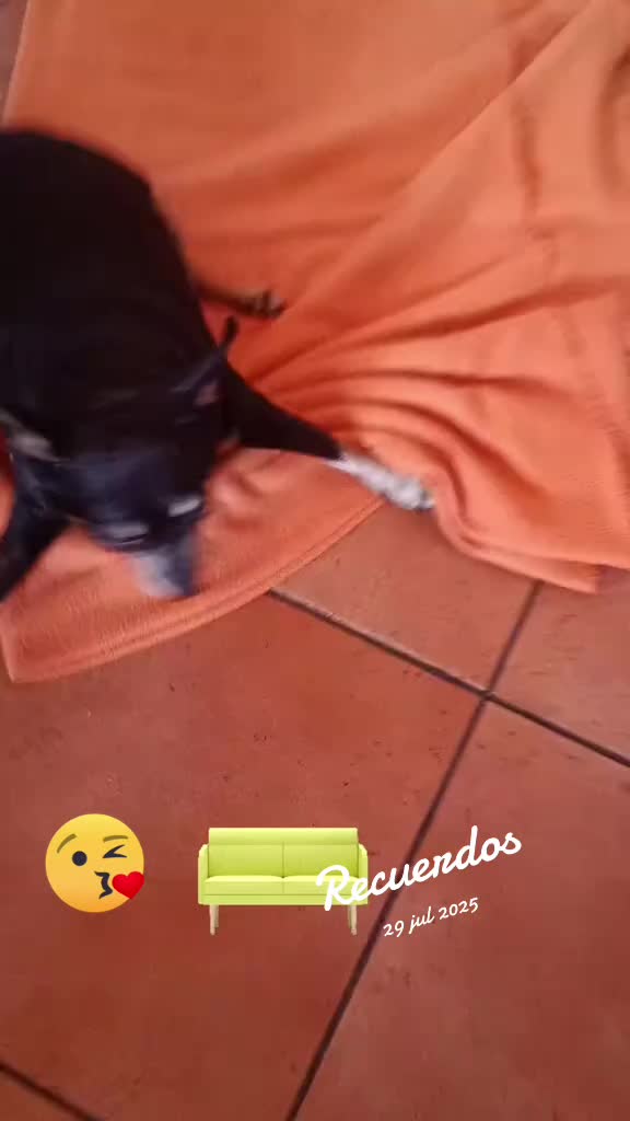 @Martín y Carlota