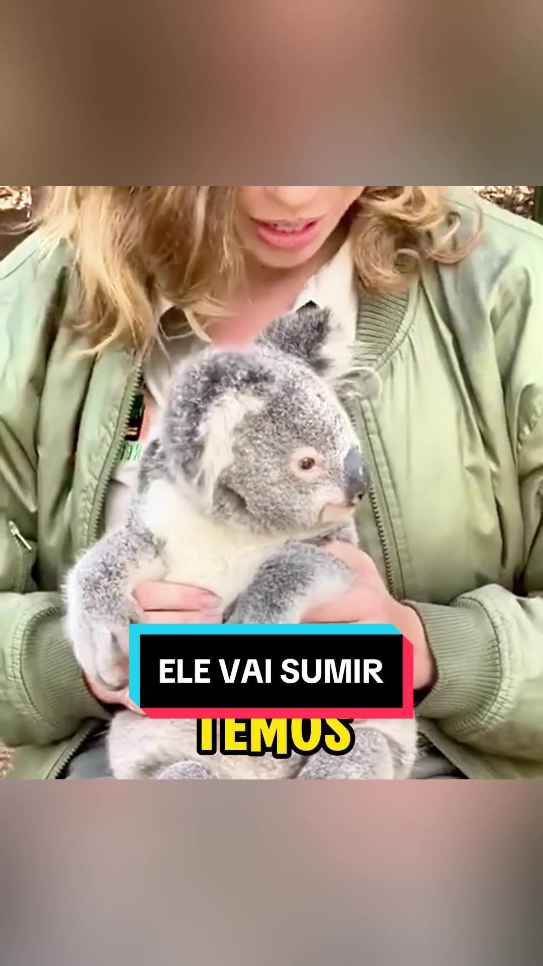 @Teslinha