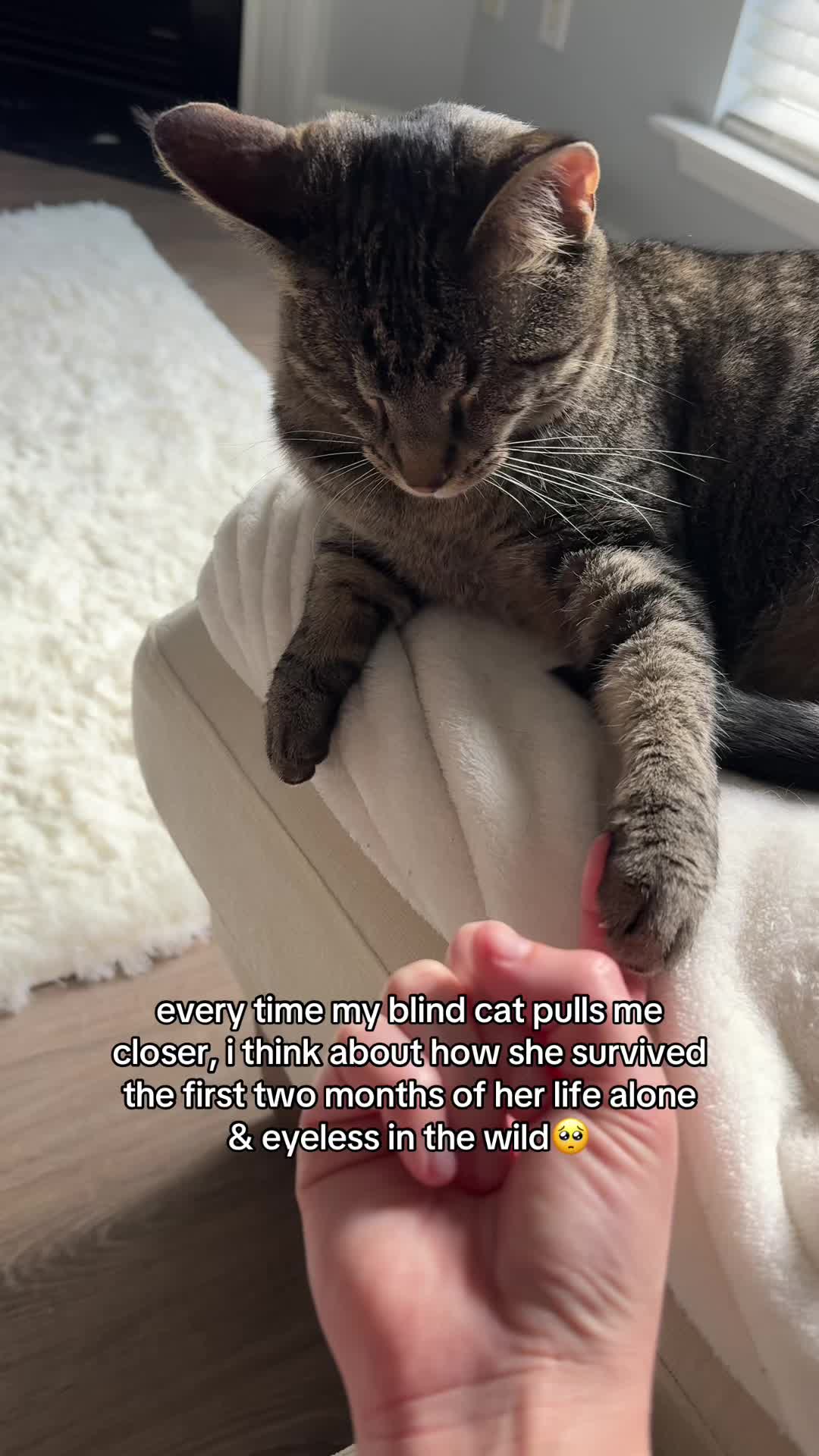 @𝘼𝙢𝙗𝙚𝙧 & 𝙎𝙩𝙚𝙫𝙞𝙚