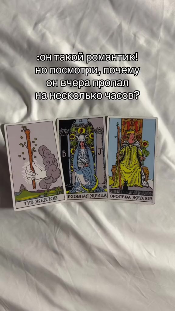 @тг: mvikamv_taro