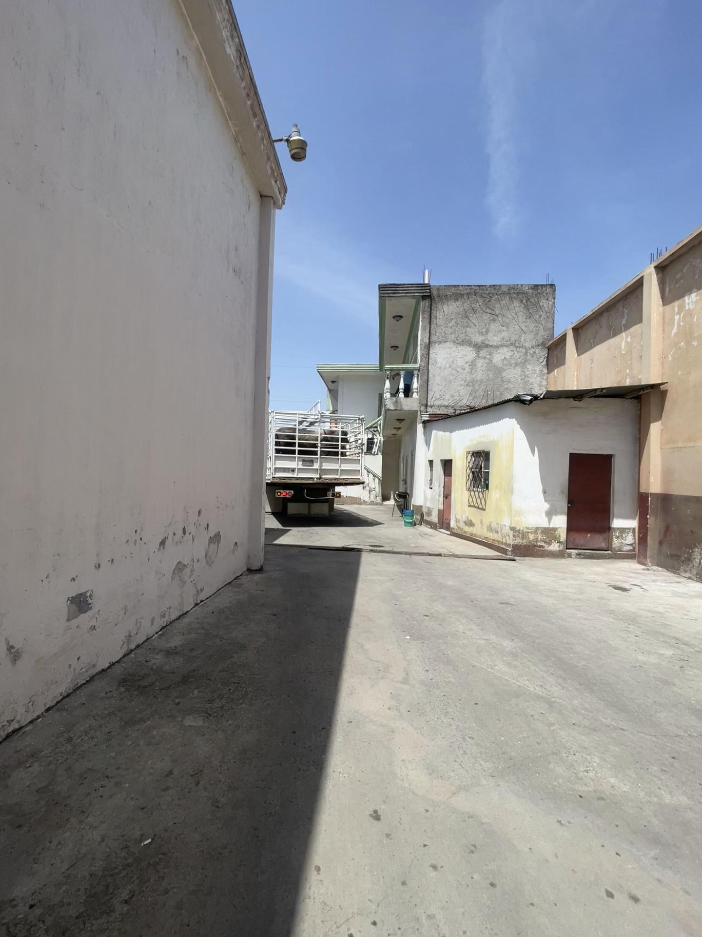@Emilio