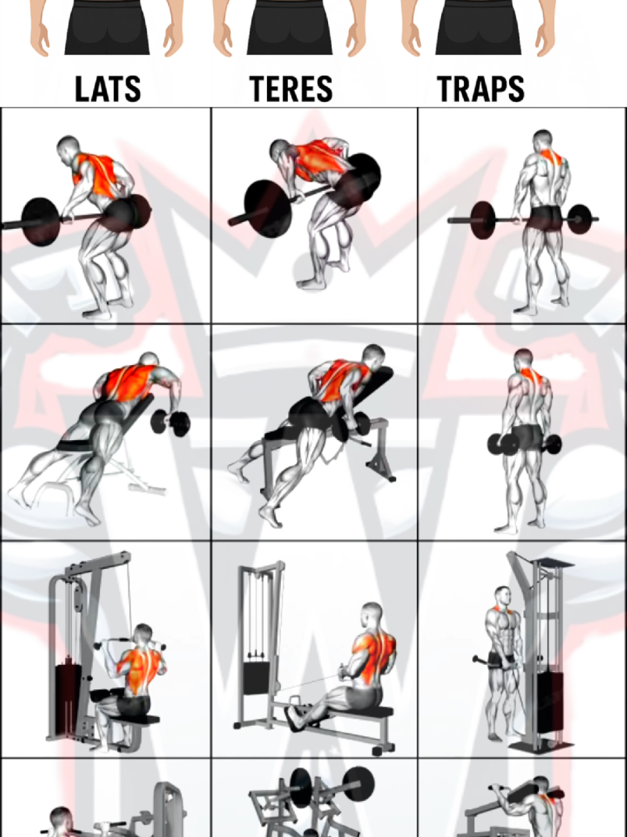 @Workout