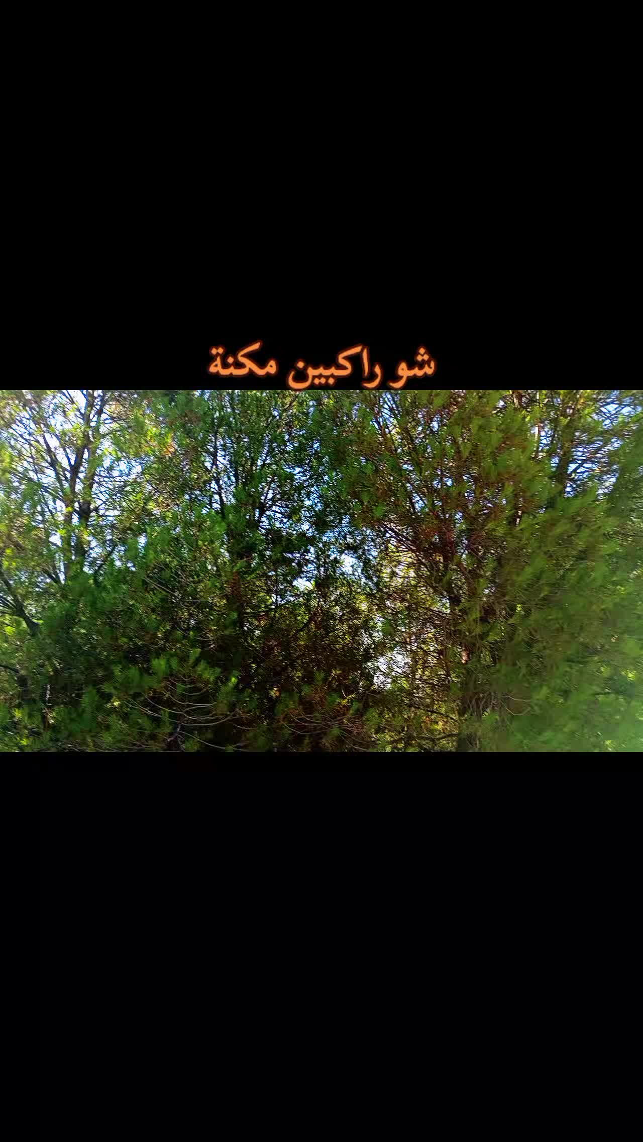 @ا⃪⃪ب⃪⃪و⃪ ⃪⃪ت⃪⃪ي⃪⃪مℋ𔘓̵