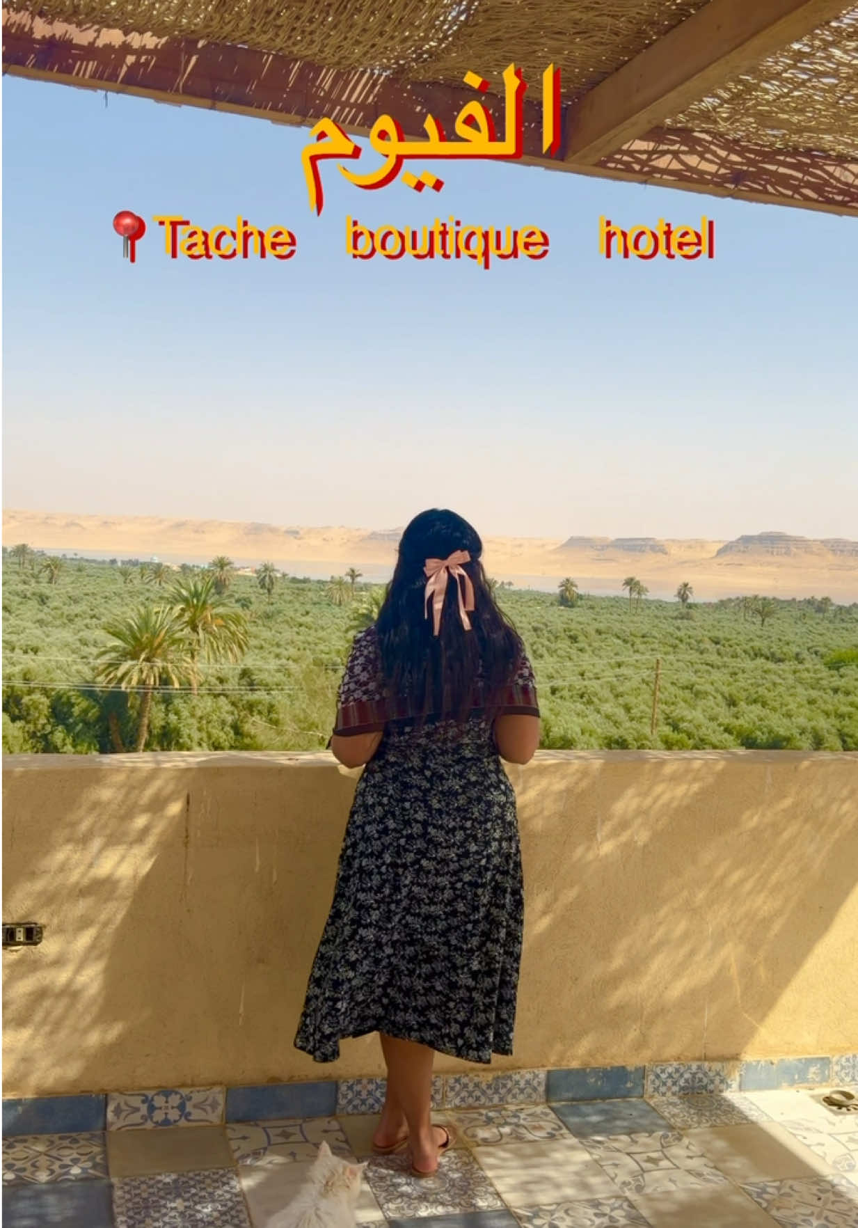 @Salma Elmaghraby