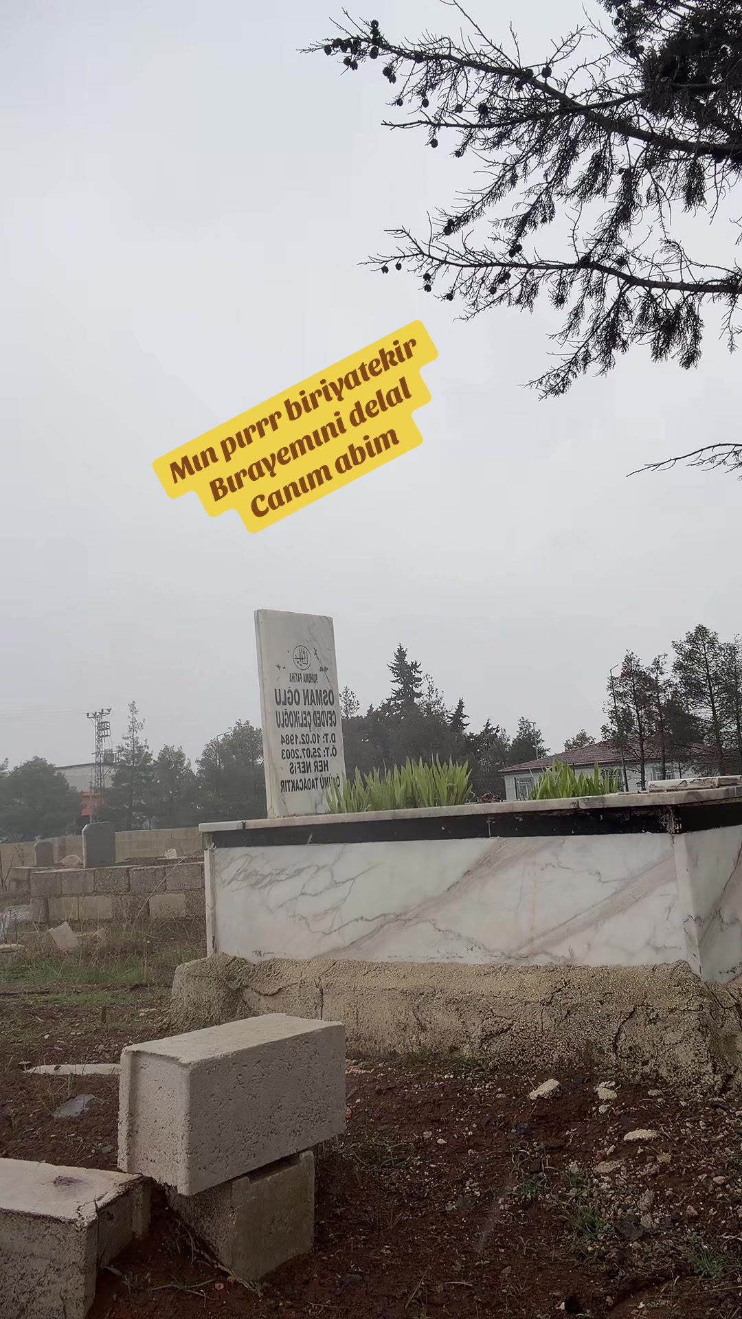 @Bayram Çelikoğlu