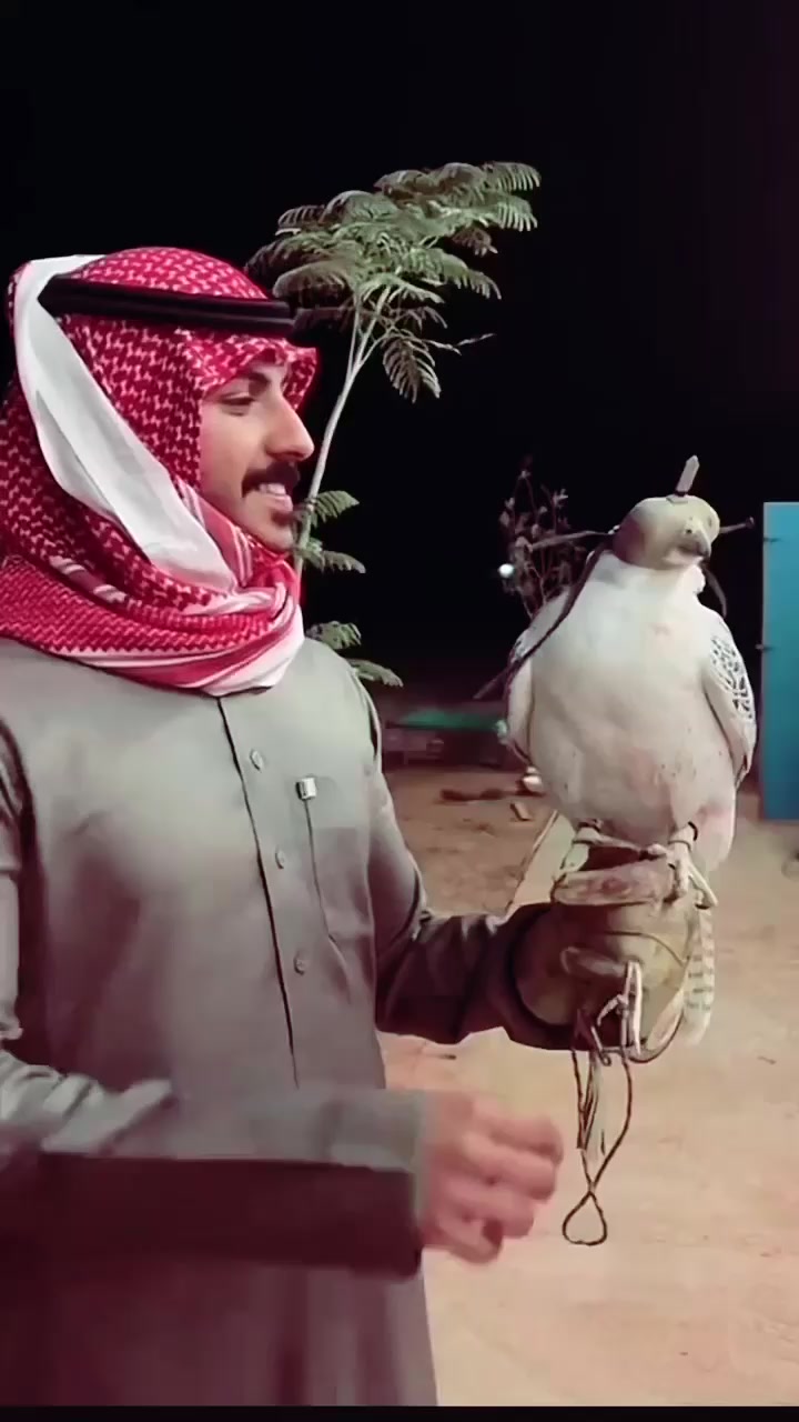 @سلطان بن عراكـ🌟