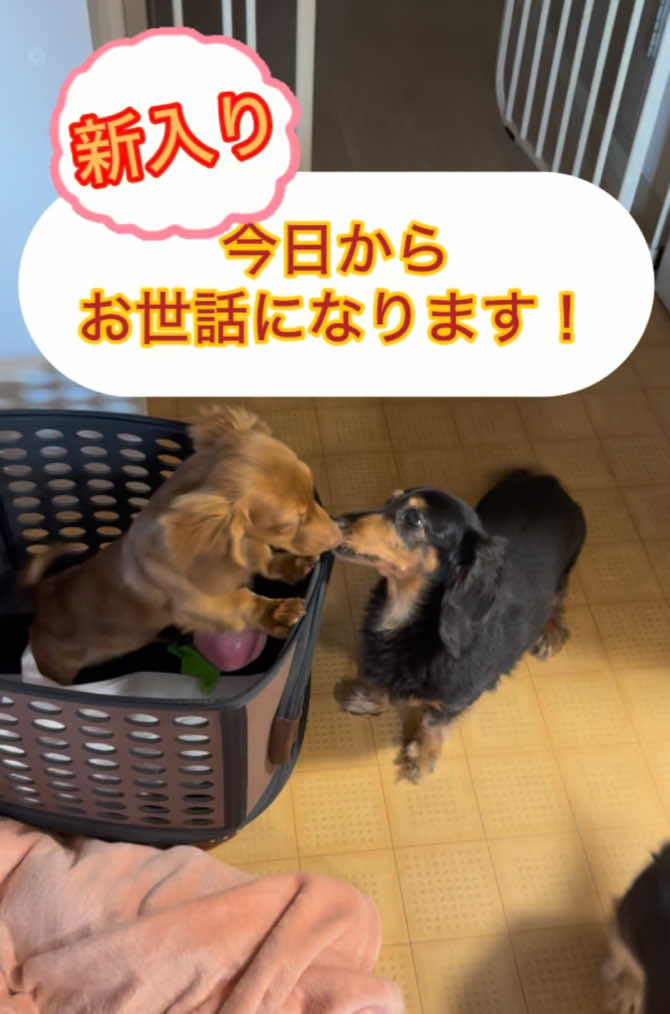 @もっさん