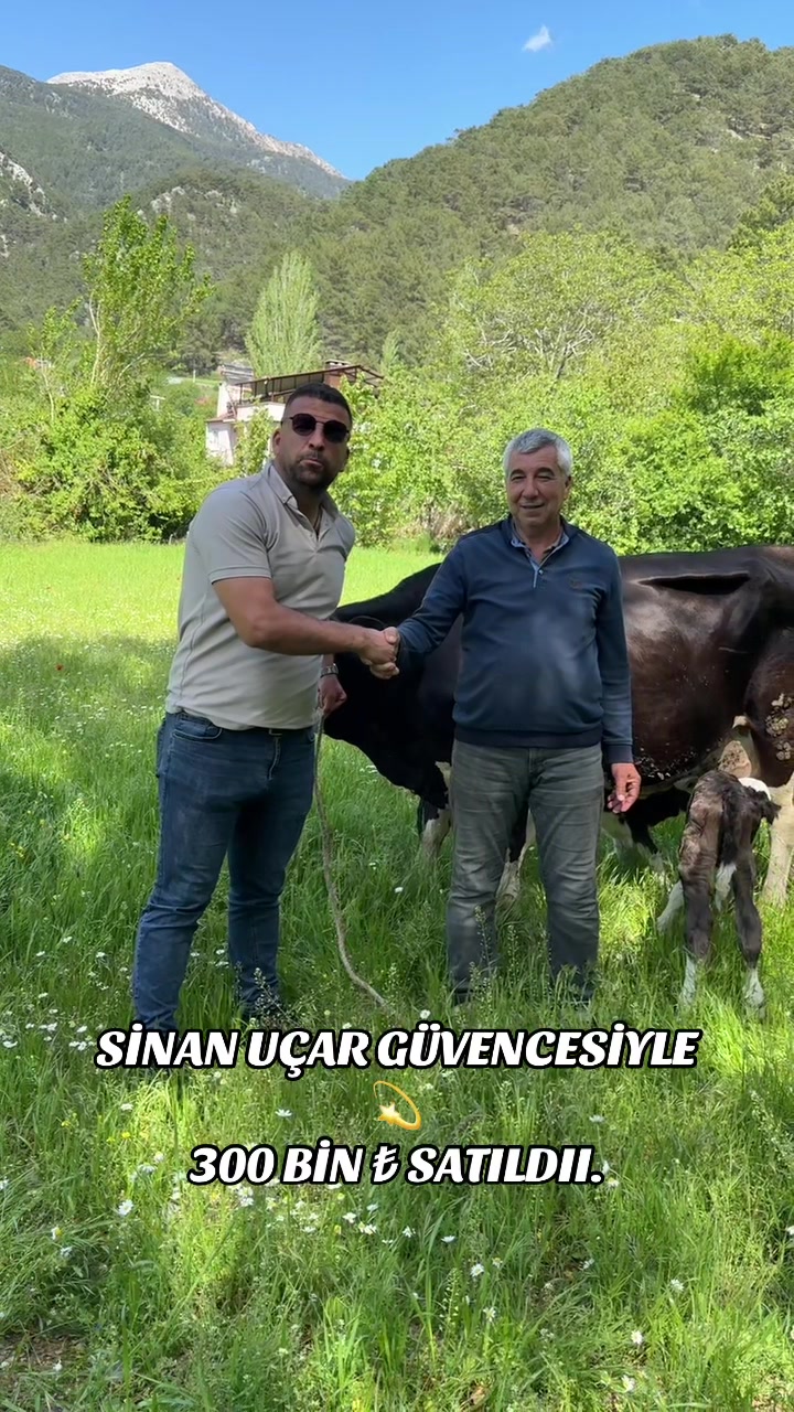 @CELEP SİNAN UÇAR
