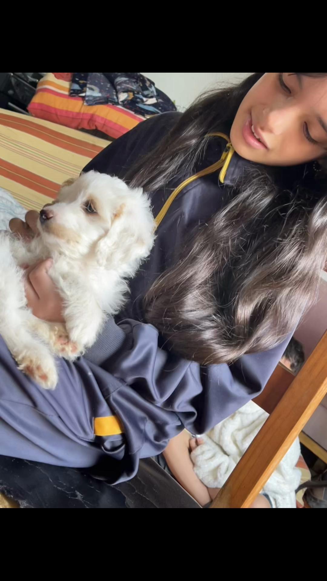 @Kisbe Andrade🤩