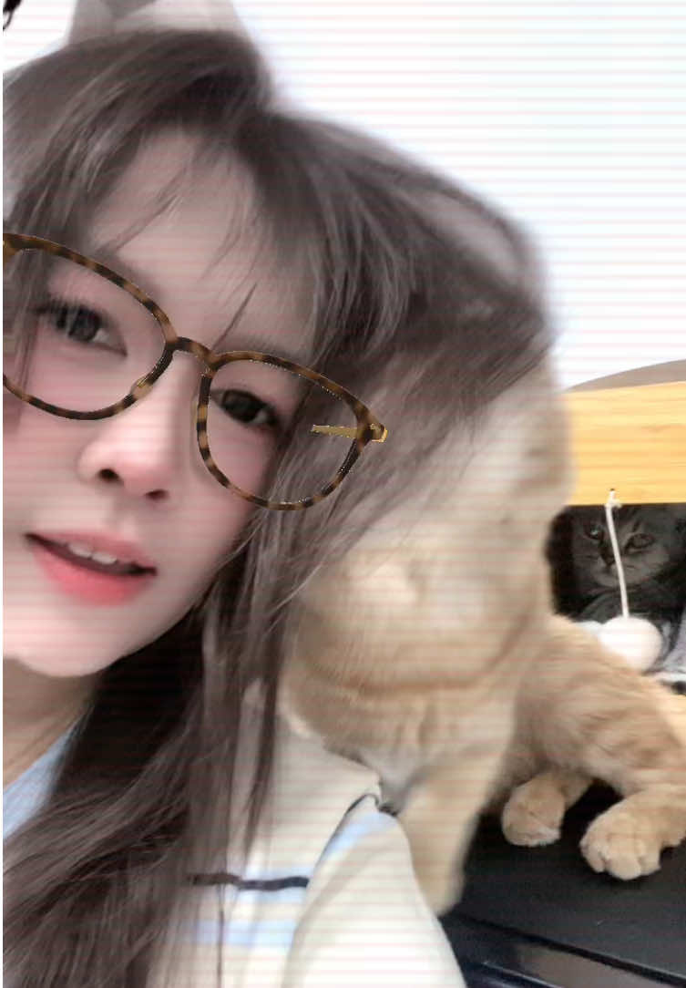 @🐈야옹야옹🐾