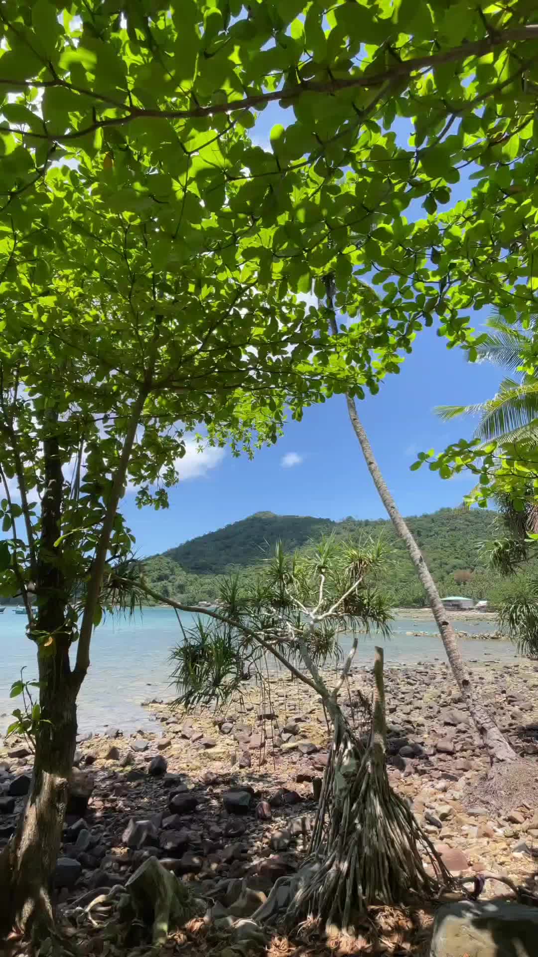 @lemukutan_island
