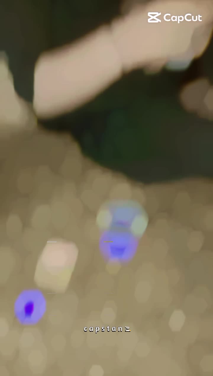 @꧁༒☬☠ 𝐙𝐀𝐈𝐍 ☠︎☬༒꧂