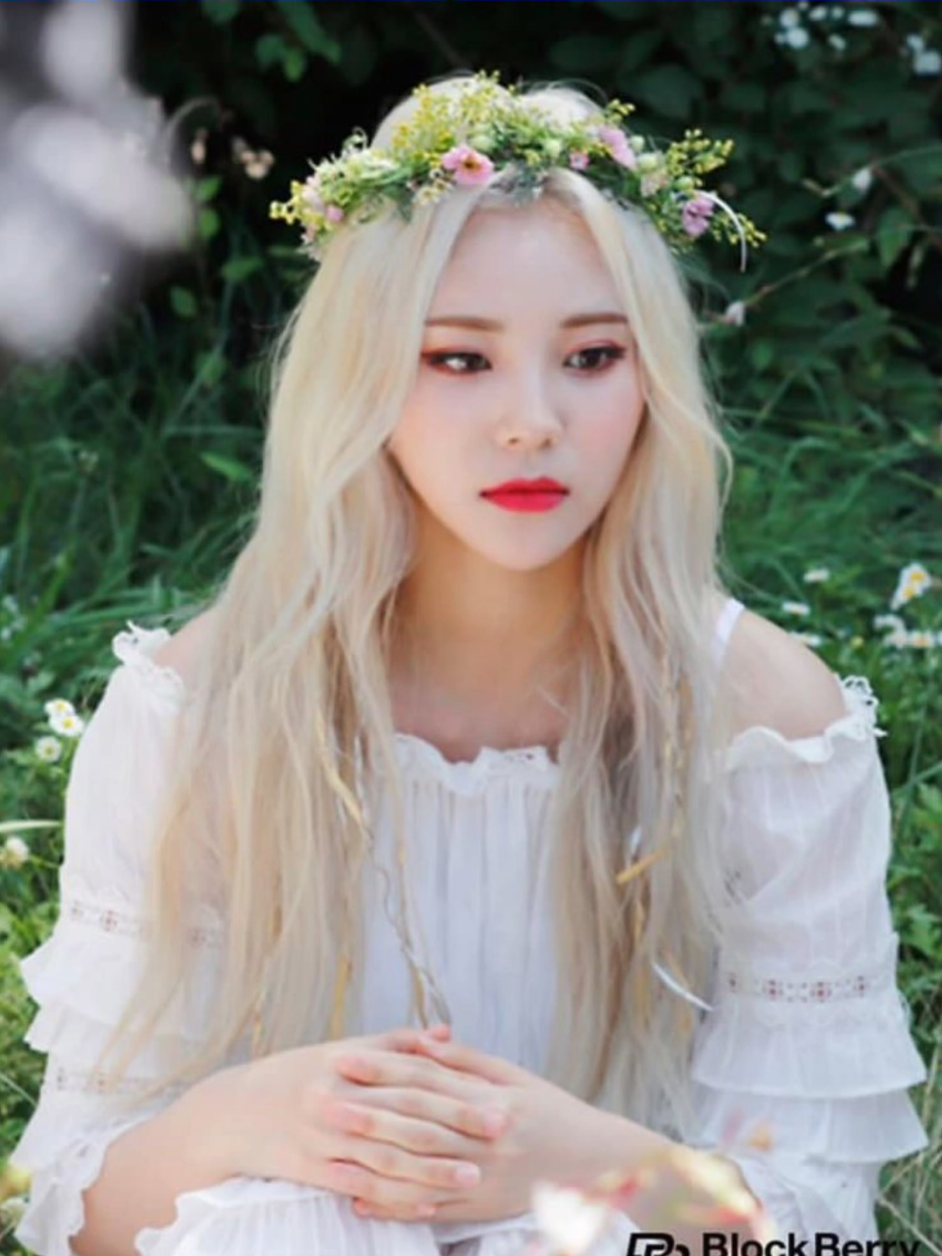 @🎀 · 。 정