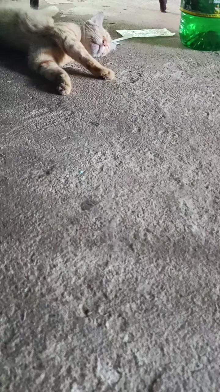 @Lù García❤️