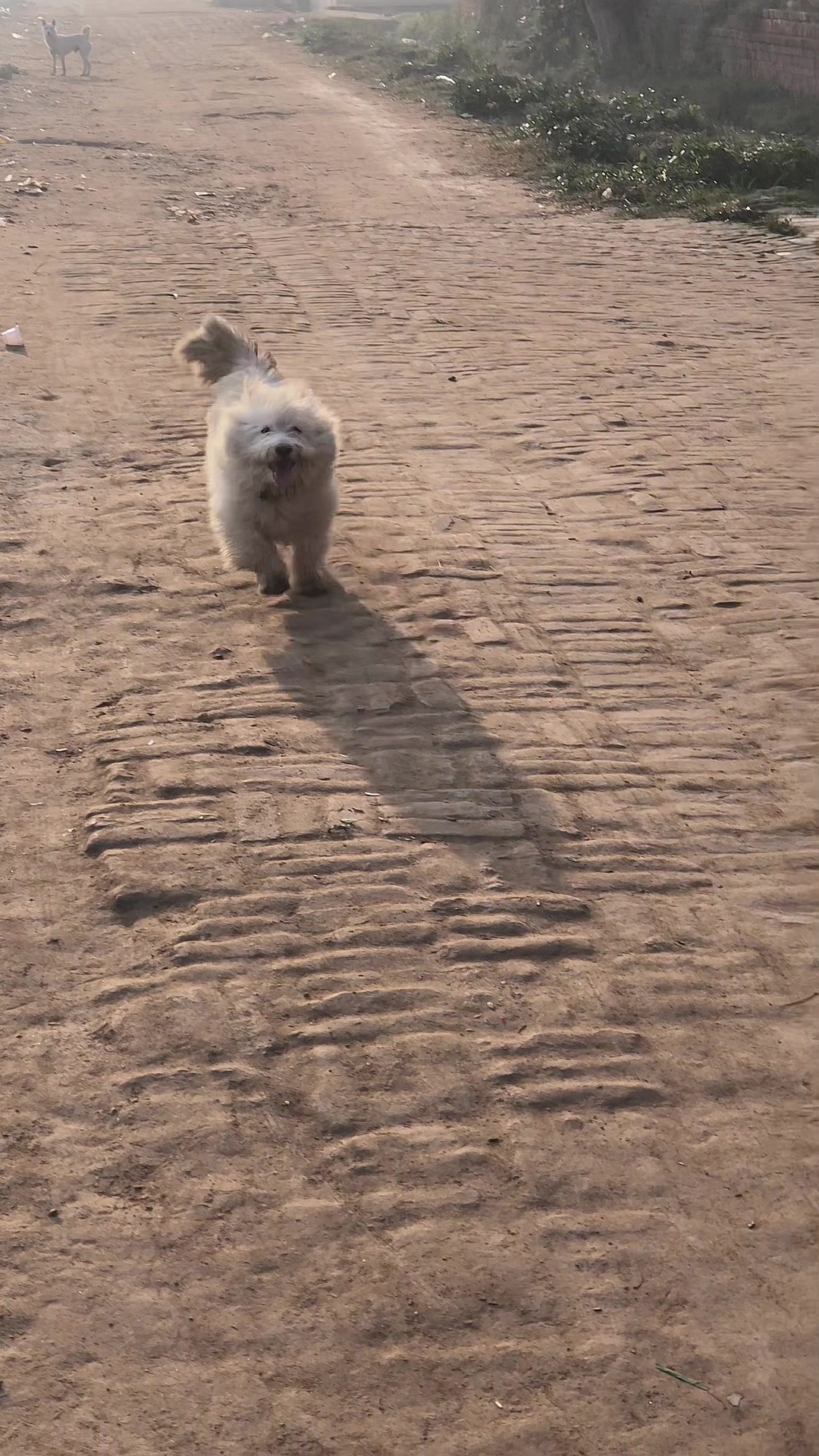 @𝐌𝐮𝐛𝐞𝐞𝐧 𝐓𝐚𝐫𝐢𝐪