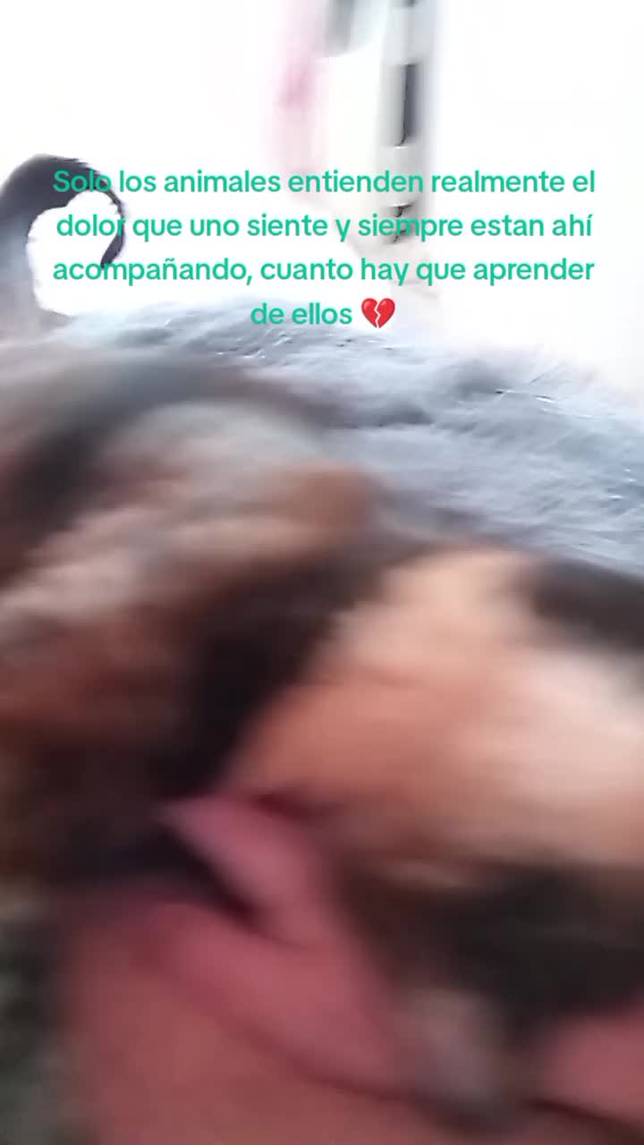 @Natalia Facenta