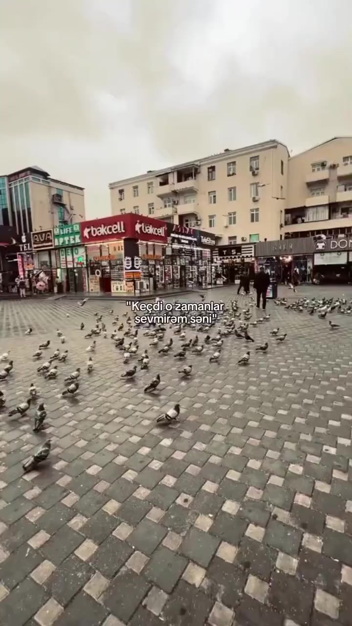 @K A Z I M O V