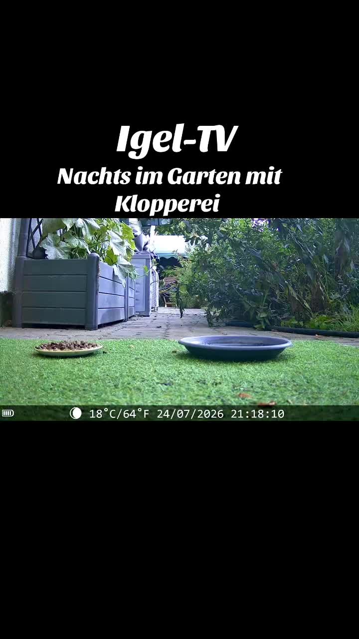@Berit B. 🫣🙋♀️🫣