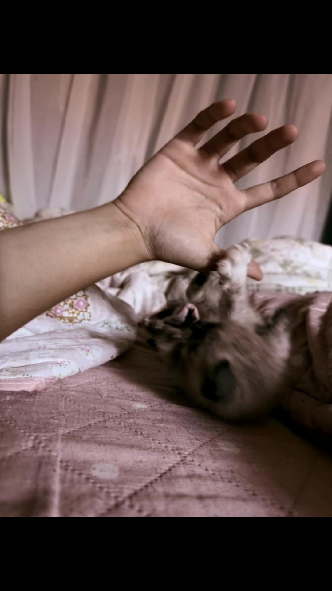 @vekanandre_00