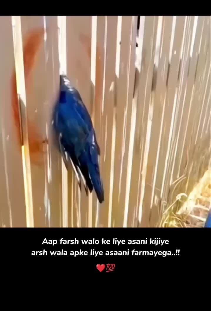 @Filmymantra