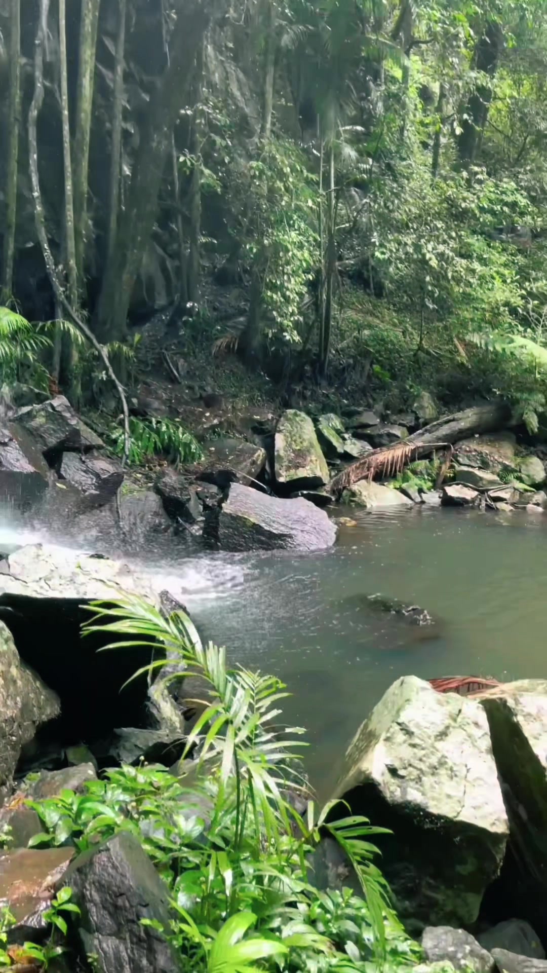 @akitakot2