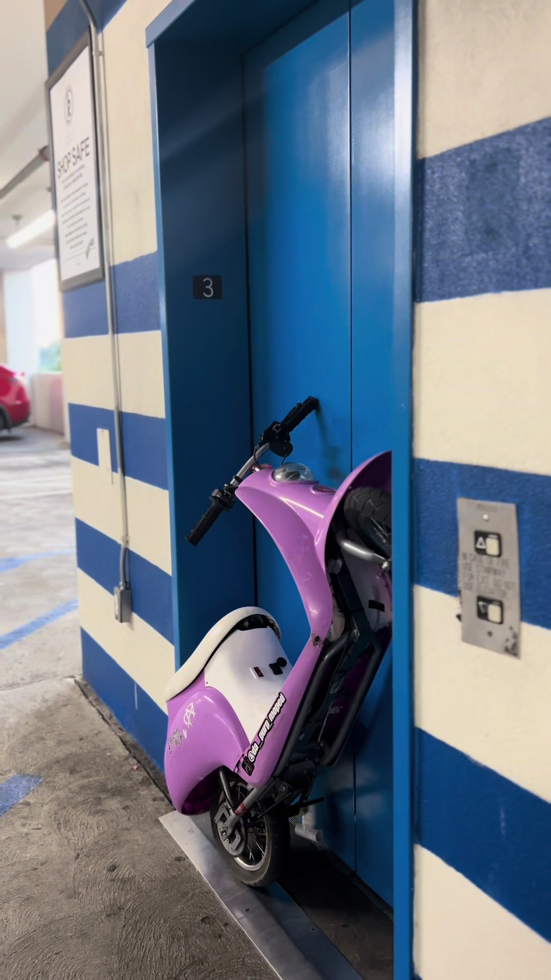 @da_purp_moped