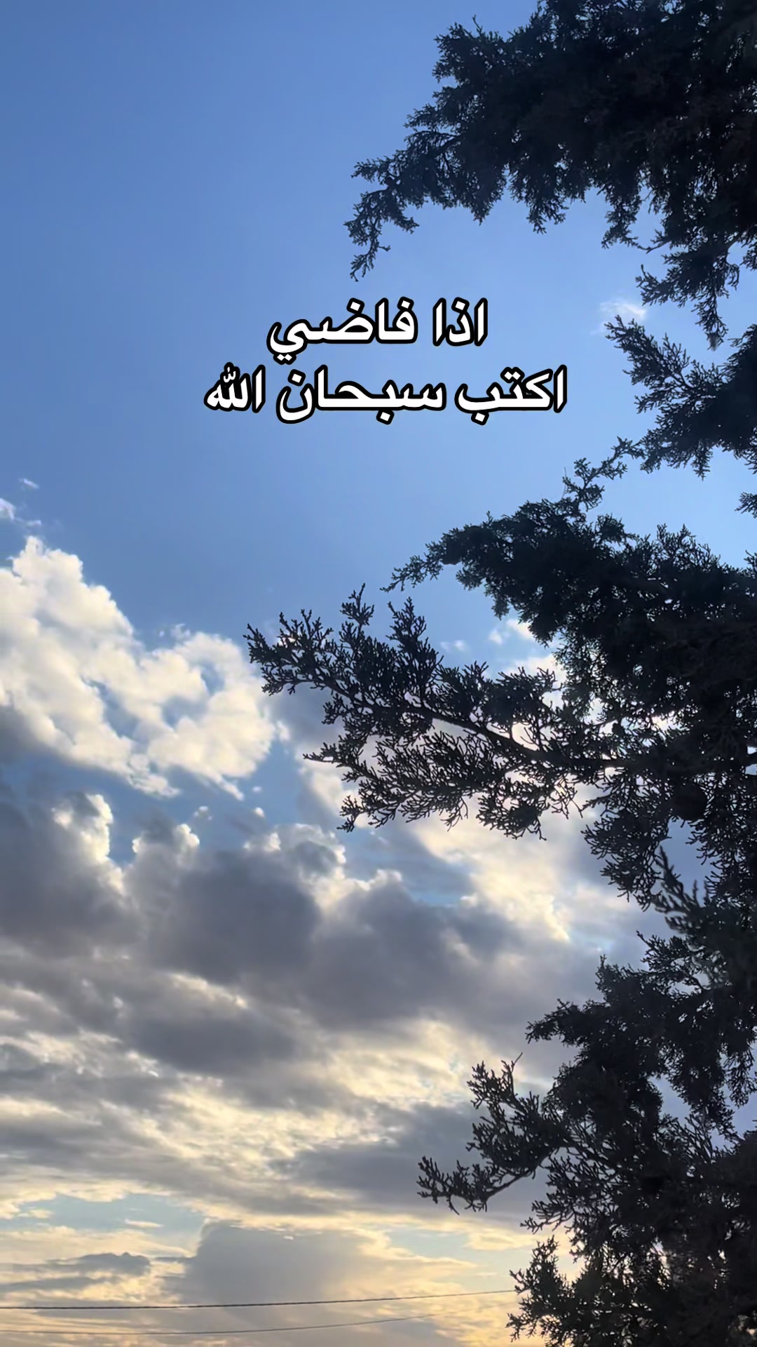 @هيـــّــآف 𓃚